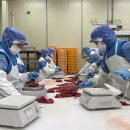 대진축산물 이미지