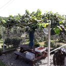 평전농장 이미지