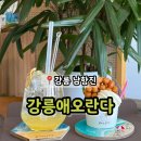 강릉애오란다