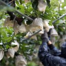 서구청 건강체련관 이미지