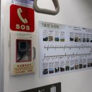 문화 비상-7호 이미지