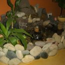 채석강민박 이미지