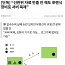 실시간) ”선관위 자료 반출 안해도 포렌식 가능“ ㄷㄷ...jpg 이미지