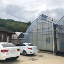 아산 세재골농원 (취사가능한 물놀이장)