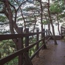 전월산 누리길 이미지