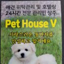 펫하우스 V 이미지