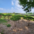 서부로R 이미지