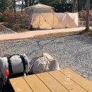 플렌티숲 이미지