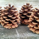 플라이미술학원 이미지