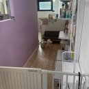 깔꼼 애견미용실 이미지