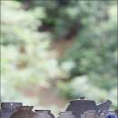 생활의 향기 이미지