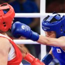 복싱아레나 이미지