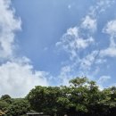 서귀포시청소년오케스트라 | 즐거운 제주여행 속 이색박물관 세계 자동차&amp;피아노 박물관 어린이 체험