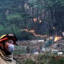 대구매천초등학교 이미지