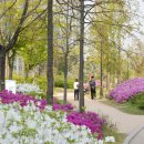 박물관공원(부평역사박물관 옆) 이미지