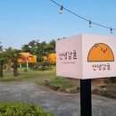 안녕감귤 제주독채펜션 이미지