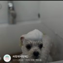 개중목욕탕 이미지