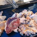 모란5일장 이미지