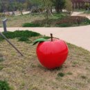 위천수변테마파크 이미지