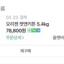 파라재규어 | 고양이 사료 후기 (오리젠, 뉴트로초이스, 에센셜재규어, 아카나)