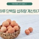 하루 단백질 섭취량 계산 방법 과다 섭취 식품별 함량 이미지