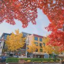 경의선숲길공원 | 공덕 경의선숲길 공원 단풍 구경 서울 연남동 데이트코스 산책하기 좋은 곳