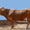 이티농장 이미지