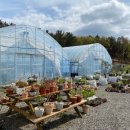 봉길농장 이미지