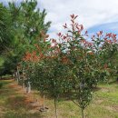 흥해시장 이미지