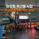 마장동 축산물시장 (2017,2018년) 그때는 좋았다 내돈내산 방문후기 그리고 지금은 방문 안하는 이유