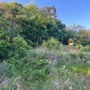 관성3리 이미지