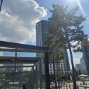 법무법인소울 - 강남구 압구정로28길 19 | 법무법인소울
