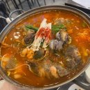 태평양산오징어