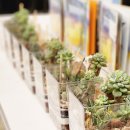 신광여자중학교 이미지