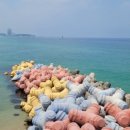 초당더쉼펜션 이미지