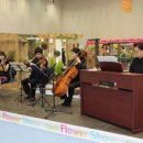 진흥꽃화원 이미지