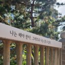 신동아아파트(102동앞) | 손품발품21편- 노량진 뉴타운과 그 후광은 어디까지?(노량진 우성,신동아 리버파크,상도파크자이 등등)