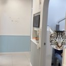 연세주니어치과의원 이미지