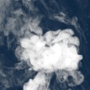 로얄코리아 이미지