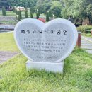 배실웨딩공원 | 대구 애견동반 여행 강아지 산책 장소 추천 배실웨딩공원