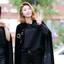 다미 이미지