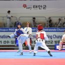 태안군, ‘국제오픈 태권도 대회’ 6일 간의 열전 돌입!(김면수의 정치토크) 이미지