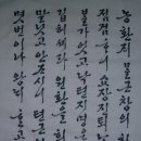 낙 은 재 이미지