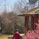 초의선사탄생지 관광안내소 | 무안 가볼만한곳 초의선사탄생지 매화 명소 실시간 후기