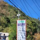 산채촌 | [맛집] 향이 진한 산나물밥상 강원도 인제 &#34; 산채촌 &#34;