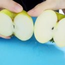 청서사과원