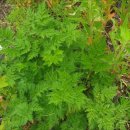 현기농장 이미지