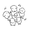 고려대학교안경콘택트 이미지