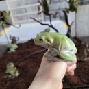 뉴그린농장 이미지