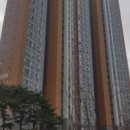 남양주다산중학교 이미지